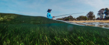 Seagrass meadows are reliable fishing grounds for food