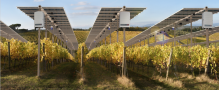 SolarEdge kündigt Roadshow für die deutsche Solarindustrie mit der Vaillant Group und der Zurich Versicherung in Deutschland an