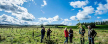 Antalis hosted a tree-planting day in partnership with Forest Carbon