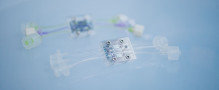 Merck and imec Collaborate to Develop Disruptive Microphysiological Systems Platform