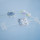 Merck and imec Collaborate to Develop Disruptive Microphysiological Systems Platform