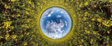 Circular Economy and Circular Bioeconomy – What’s The Difference?