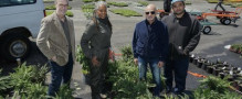 New York Auto Show and Subaru donate exhibit plants to help green NYC